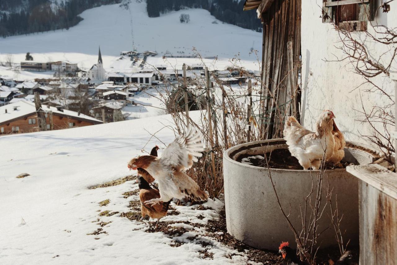 Apartment Wachinghof Reith bei Kitzbühel Eksteriør bilde